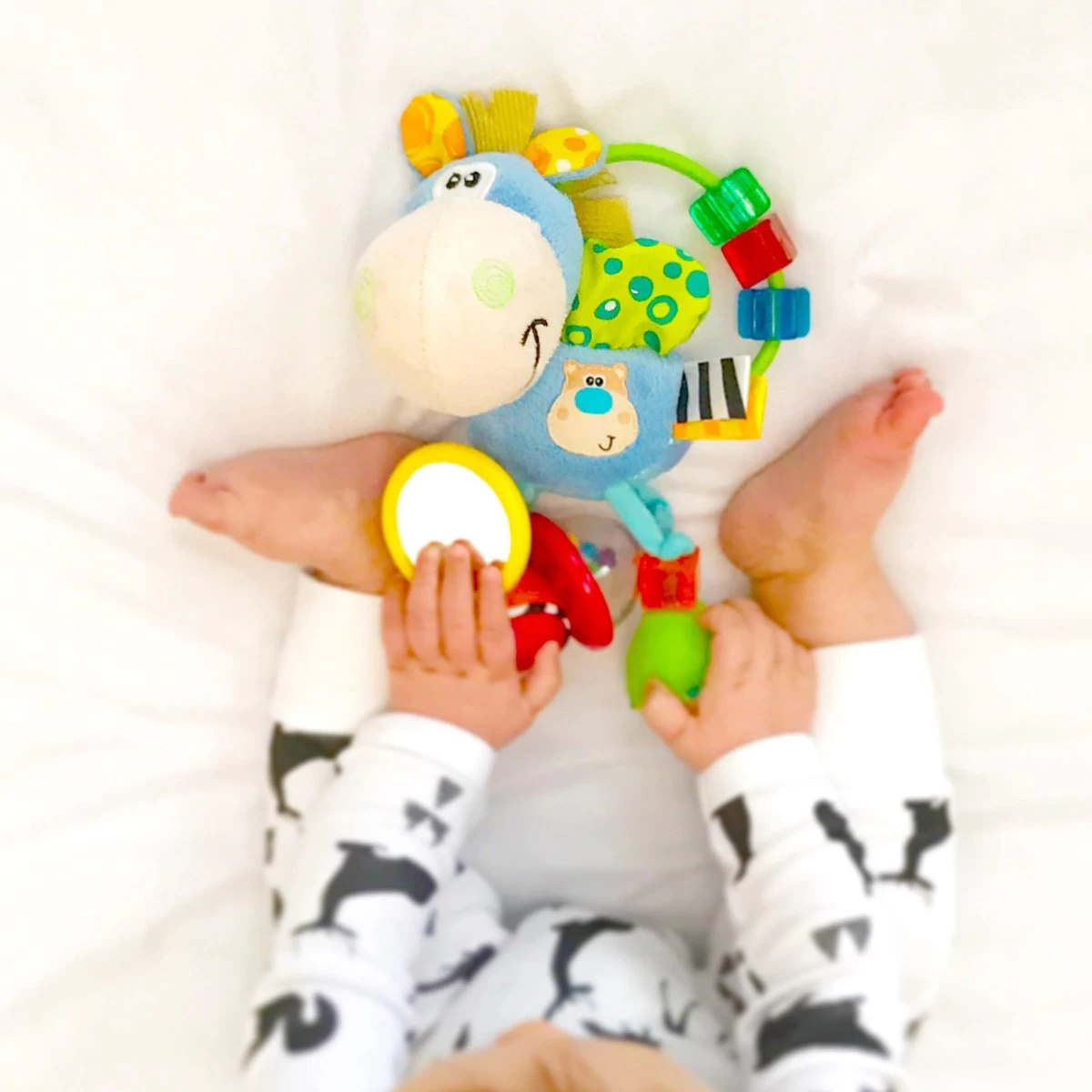 Playgro Clip Clop Rammelaar - Blauw - Activiteitenspeeltje - Kraamkado 5 Playgro Clip Clop Rammelaar - Blauw - Activiteitenspeeltje - Kraamkado - Afbeelding 5