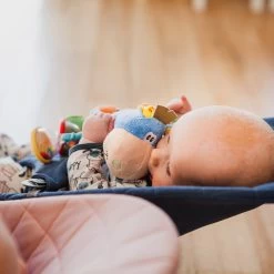 Playgro Clip Clop Rammelaar - Blauw - Activiteitenspeeltje - Kraamkado 23 Playgro Clip Clop Rammelaar - Blauw - Activiteitenspeeltje - Kraamkado -Babyproducten Uitverkoop 1200x1200 154