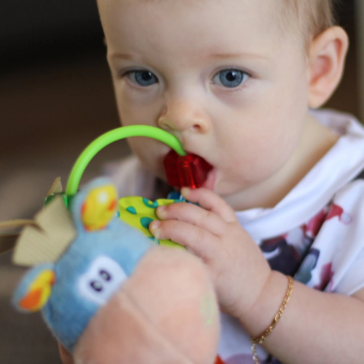 Playgro Clip Clop Rammelaar - Blauw - Activiteitenspeeltje - Kraamkado 11 Playgro Clip Clop Rammelaar - Blauw - Activiteitenspeeltje - Kraamkado - Afbeelding 11