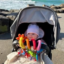 Playgro Boxspiraal Amazing Garden Twirly Whirly - Kinderwagen Speeltje - Activiteitenspiraal -Babyproducten Uitverkoop 1200x1200 3