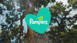 Pampers® Pampers Baby-Dry Luiers - Maat 4+ (10-15 Kg) - 152 Stuks - Multi-Pack -Babyproducten Uitverkoop 1200x675 21