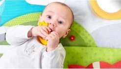 Tiny Love Supermat Speelmat - Meadow Days 24 Tiny Love Supermat Speelmat - Meadow Days -Babyproducten Uitverkoop 1200x678