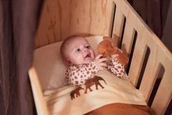 Jollein Baby Hoeslaken Wieg Jersey 40/50x80/90cm - Ivory 31 Jollein Baby Hoeslaken Wieg Jersey 40/50x80/90cm - Ivory -Babyproducten Uitverkoop 1200x800 216