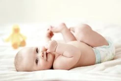 Zwitsal Goedemorgen Vochtige Washandjes - 6 X 20 Stuks - Voordeelverpakking -Babyproducten Uitverkoop 1200x800 366