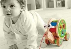 Hape Houten Walk-A-Long Slak Trekdier -Babyproducten Uitverkoop 1200x829