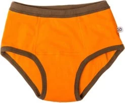 Zoocchini Oefenbroekjes 2-3 Jaar Boy Safari -Babyproducten Uitverkoop 1200x985