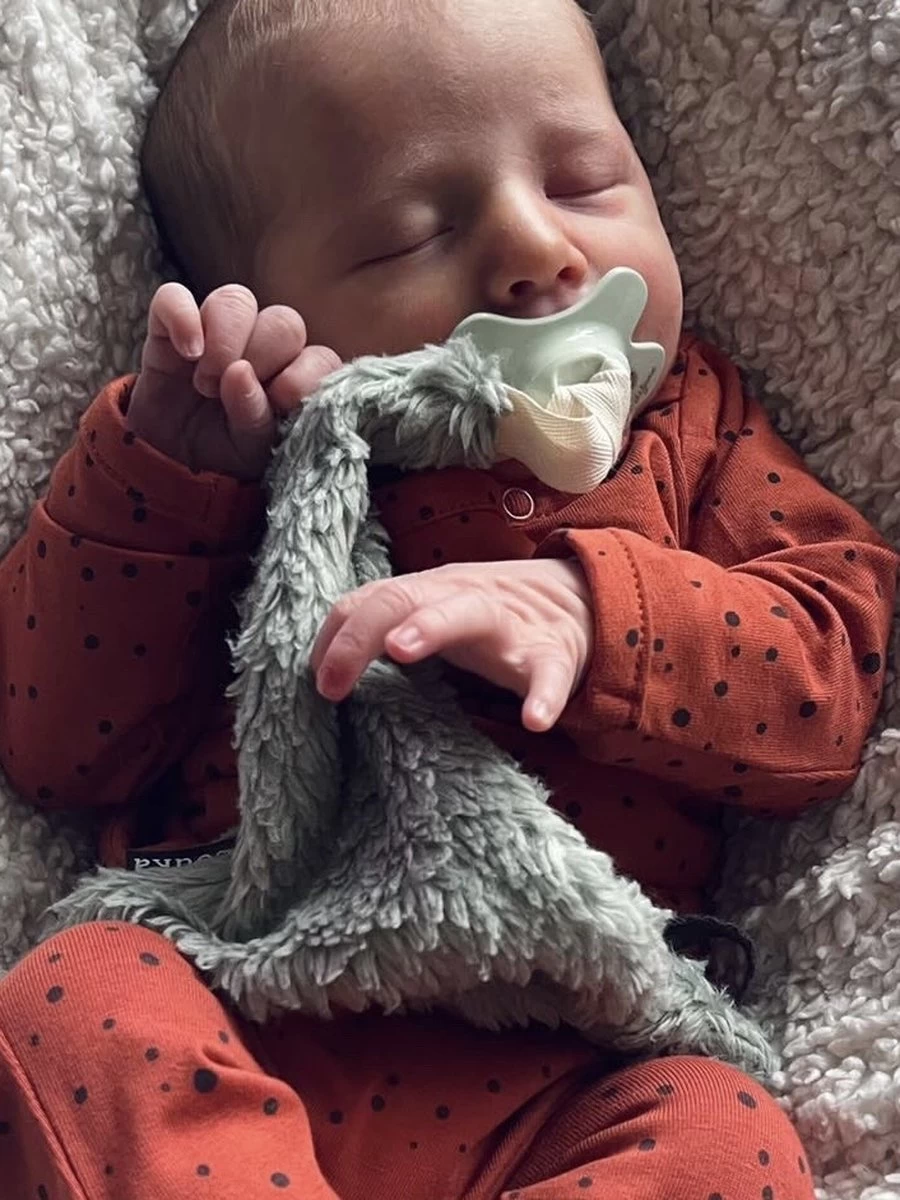 Louka Speendoekje Driehoek Teddy Groen - Teddy Katoen - Speenknuffel - Excl. Bibs Speen 3 Louka Speendoekje Driehoek Teddy Groen - Teddy Katoen - Speenknuffel - Excl. Bibs Speen - Afbeelding 3